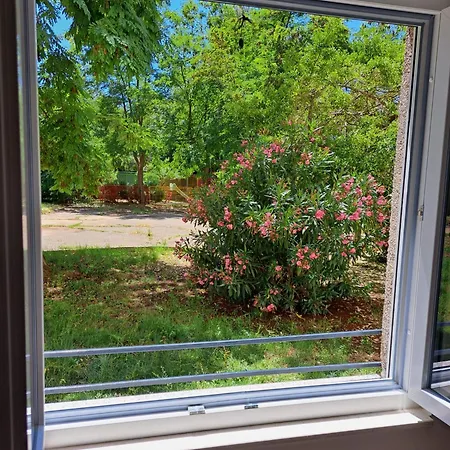 Larissa